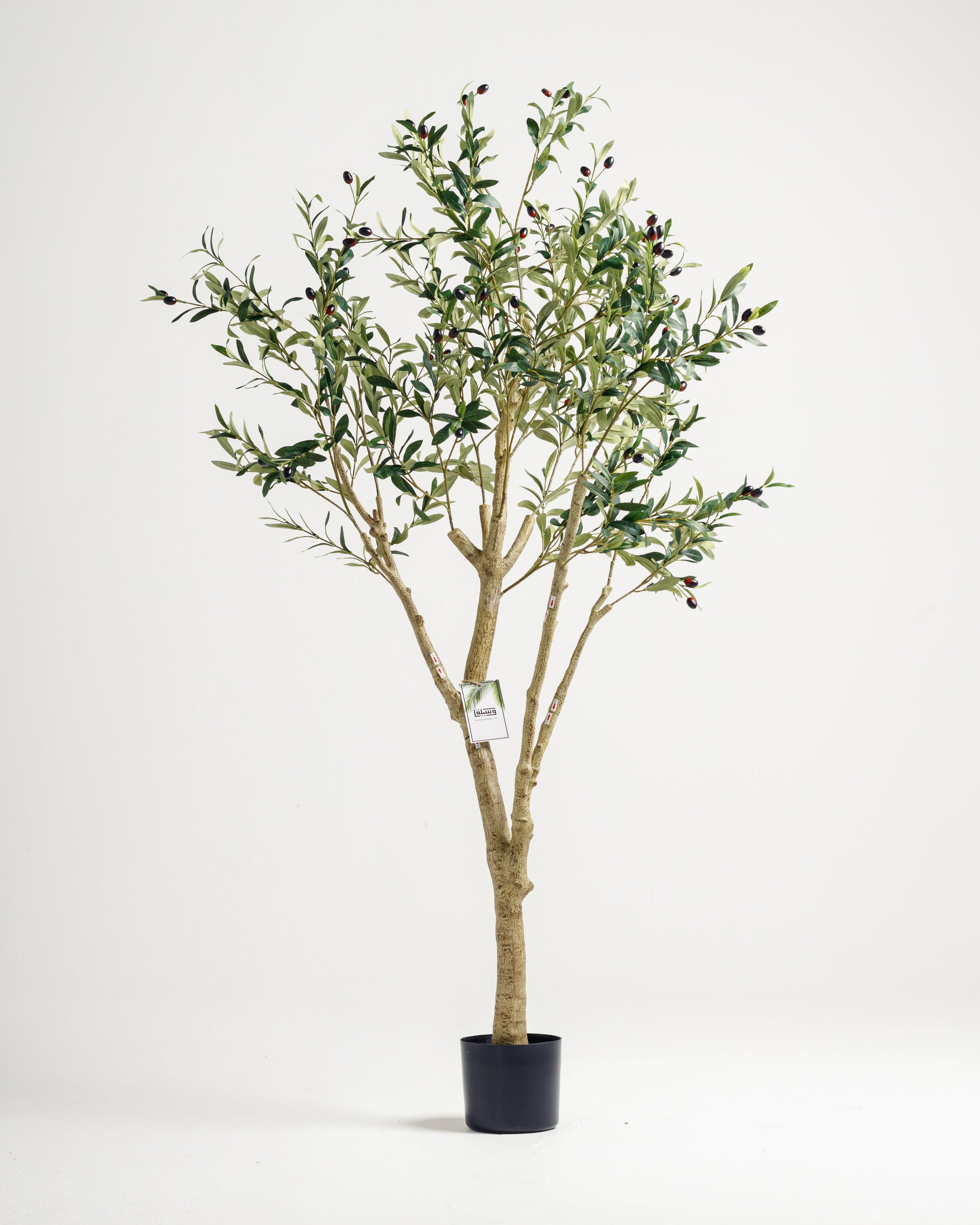Olive multi-stem artificial tree by Wasilaah