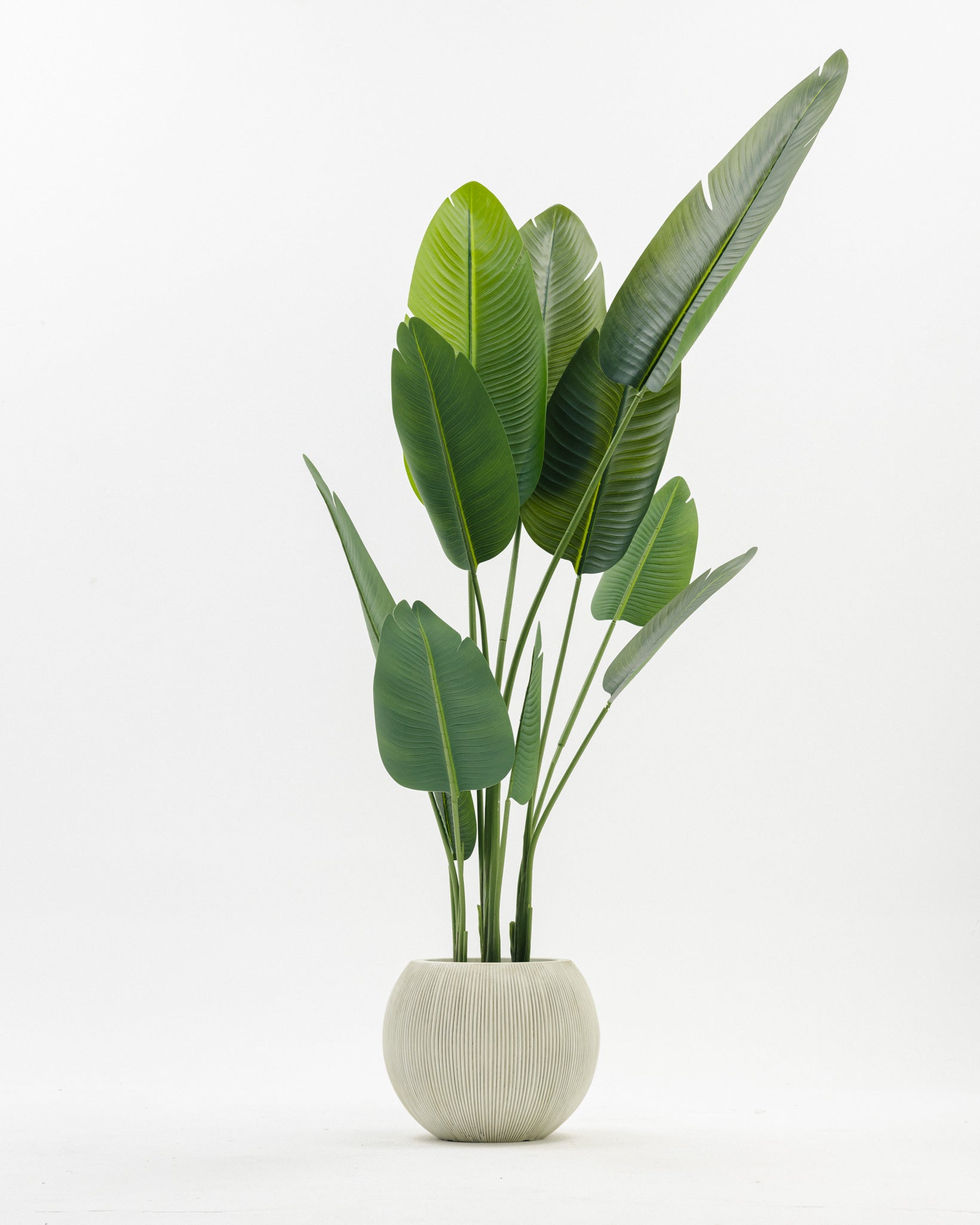 ARTIFICIAL-PLANTS Wasilaah