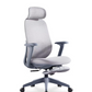 Grey Aura Ergonomic Chair