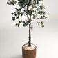 Eucalyptus Artificial tree -  Wasilaah