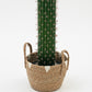 Cactus Artificial Tree