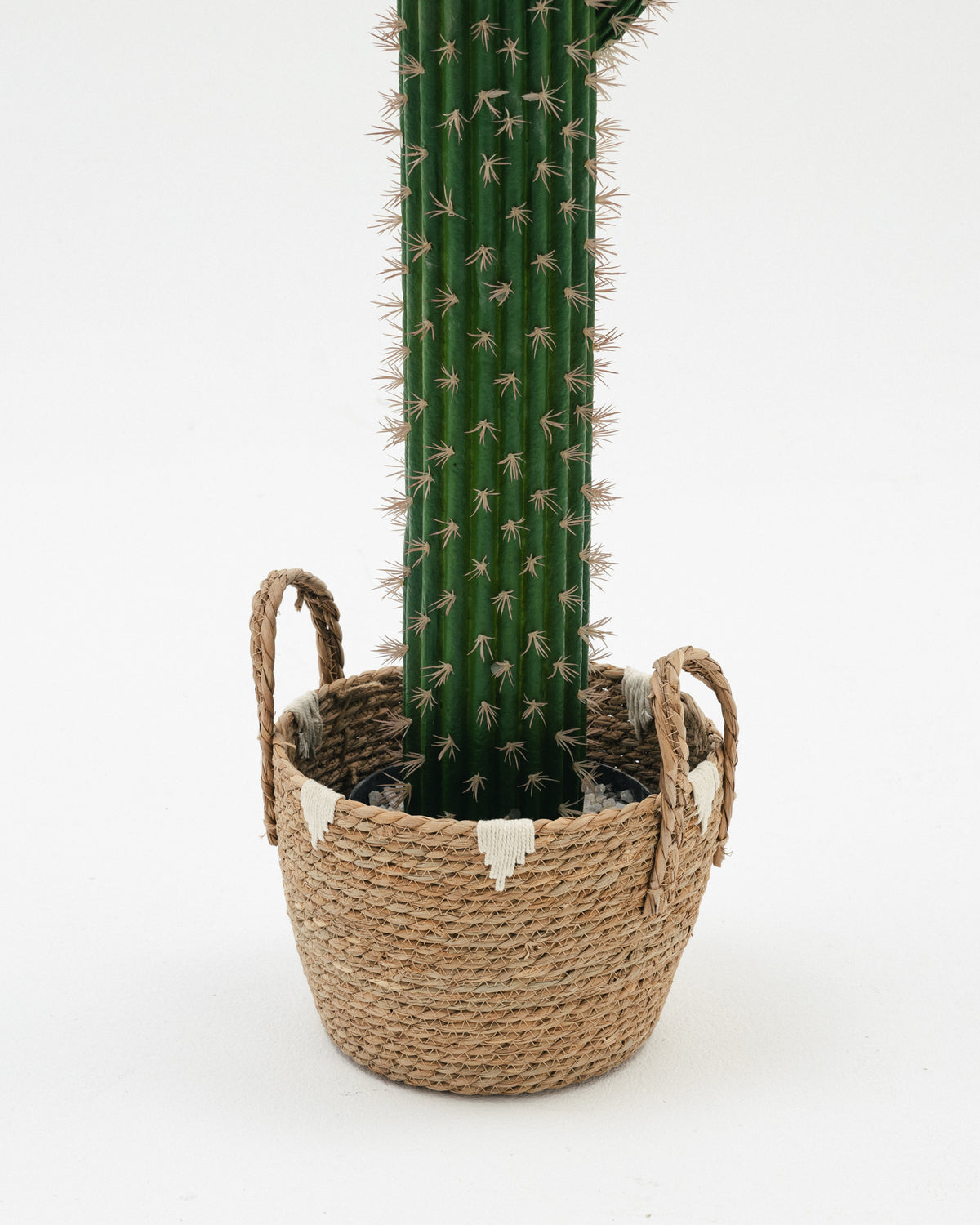 Cactus Artificial Tree -  Wasilaah