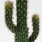 Cactus Artificial Tree