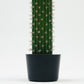 Cactus Artificial Tree