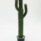 Cactus Artificial Tree