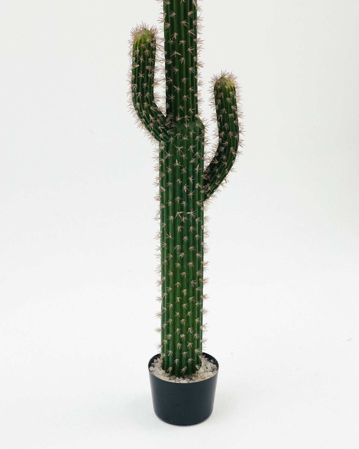 Cactus Artificial Tree -  Wasilaah