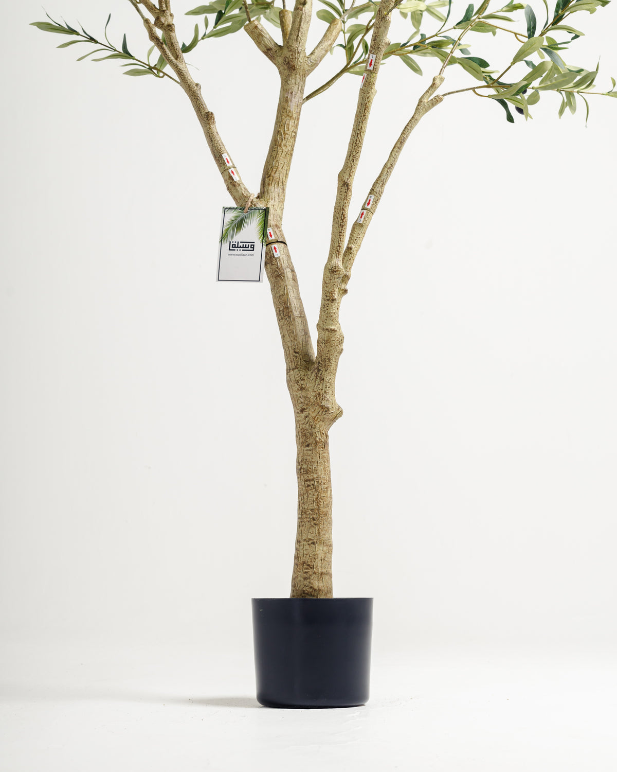 A lifelike artificial olive tree with multiple stems stands upright in a simple black pot. The tree features detailed green leaves and a textured trunk, adding a touch of natural elegance to any indoor space.