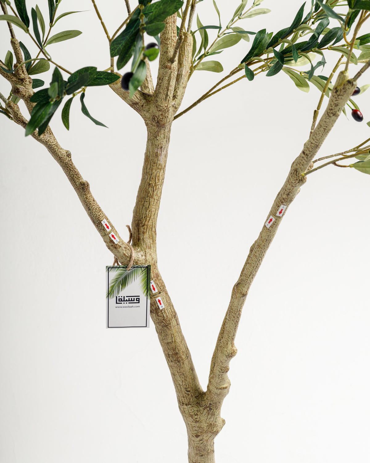 A close-up view of a lifelike artificial olive tree, showcasing its textured branches and lush green leaves. A product tag is attached to one of the branches, adding a touch of detail to the natural appearance.