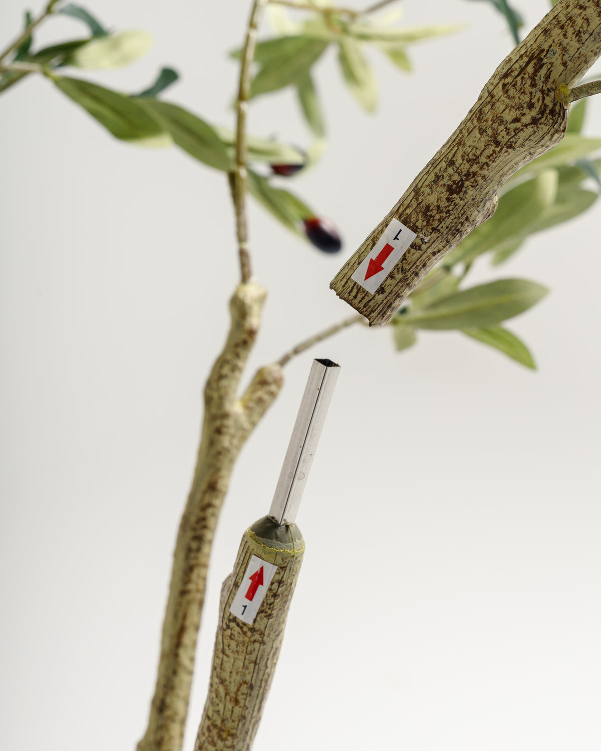 Close-up of a detailed artificial olive tree branch showing a textured, lifelike appearance. The branch features labels indicating installation directions, enhancing the realistic design of the decorative piece.