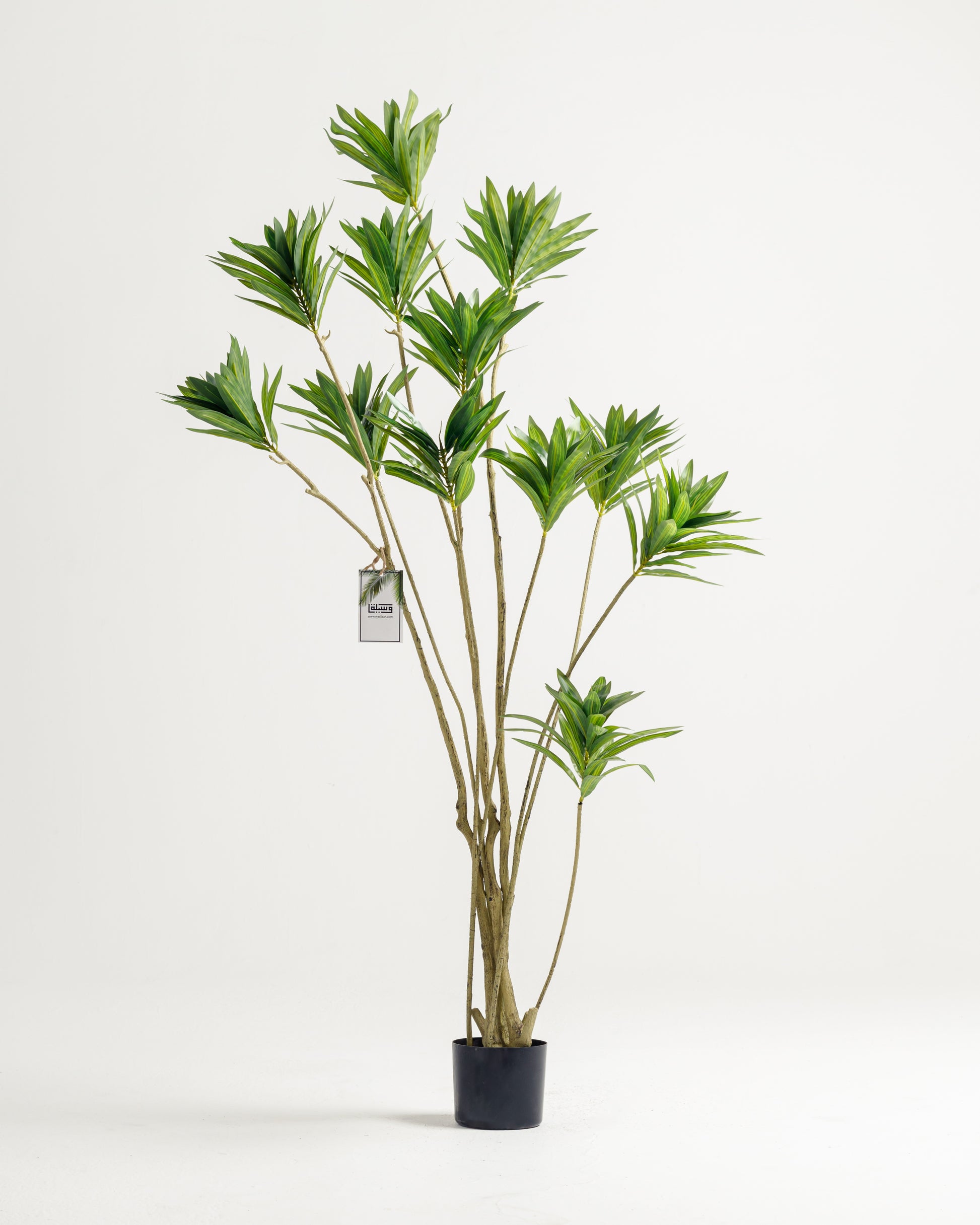 dracaena artificial Dracaena Artificial Tree