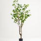 Benjamina Artificial Tree