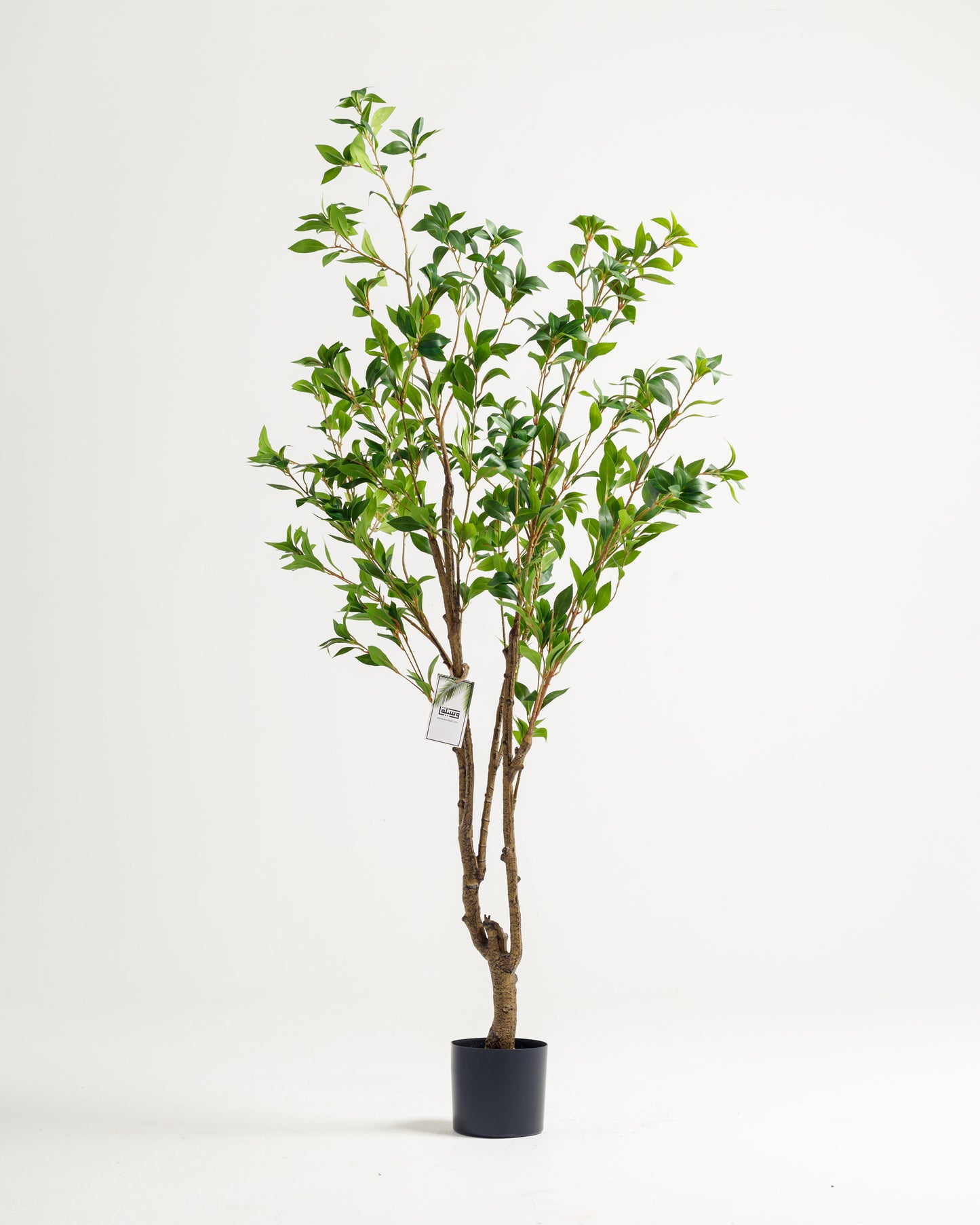 Benjamina Artificial Tree