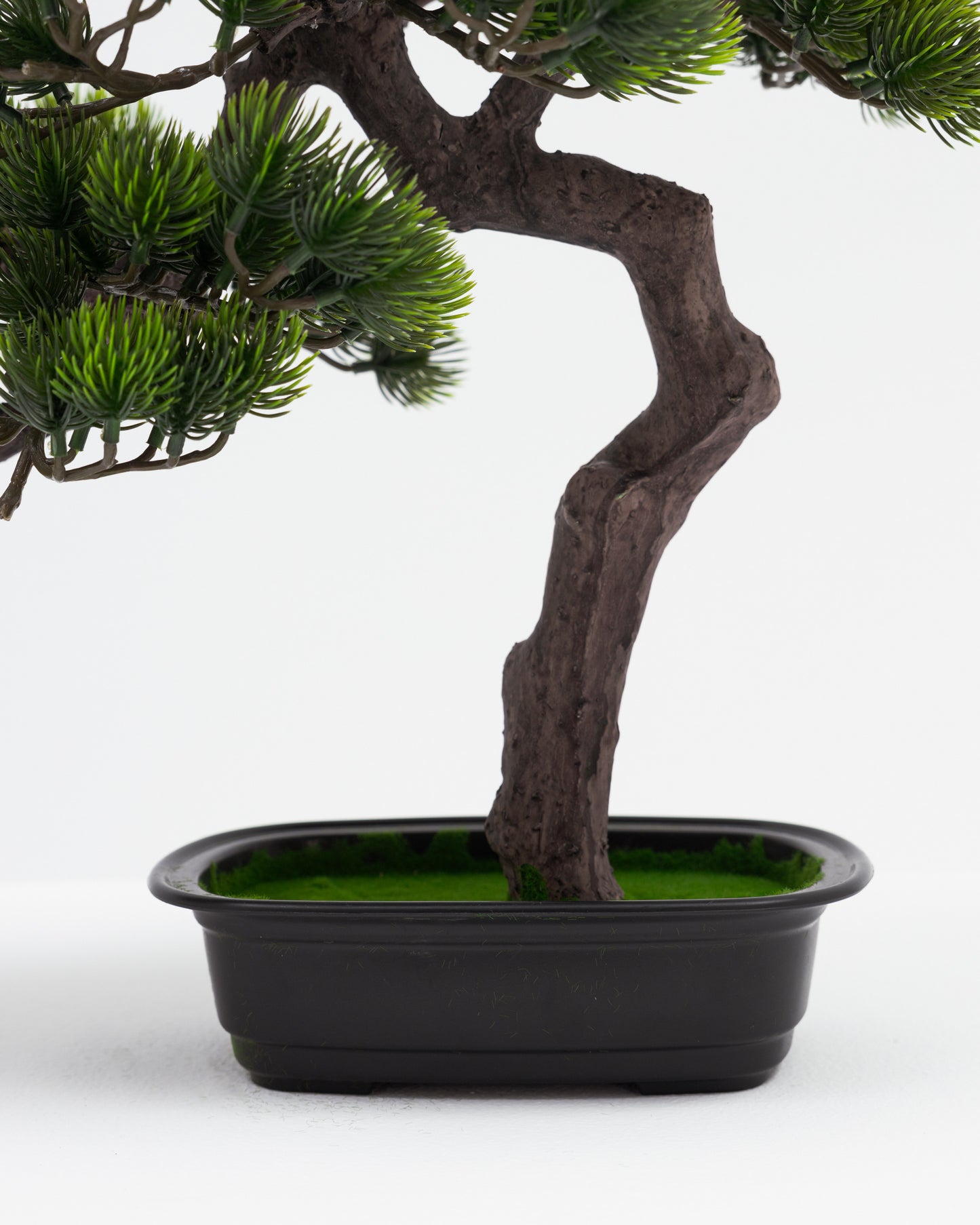 Short Bonsai Tree -  Wasilaah