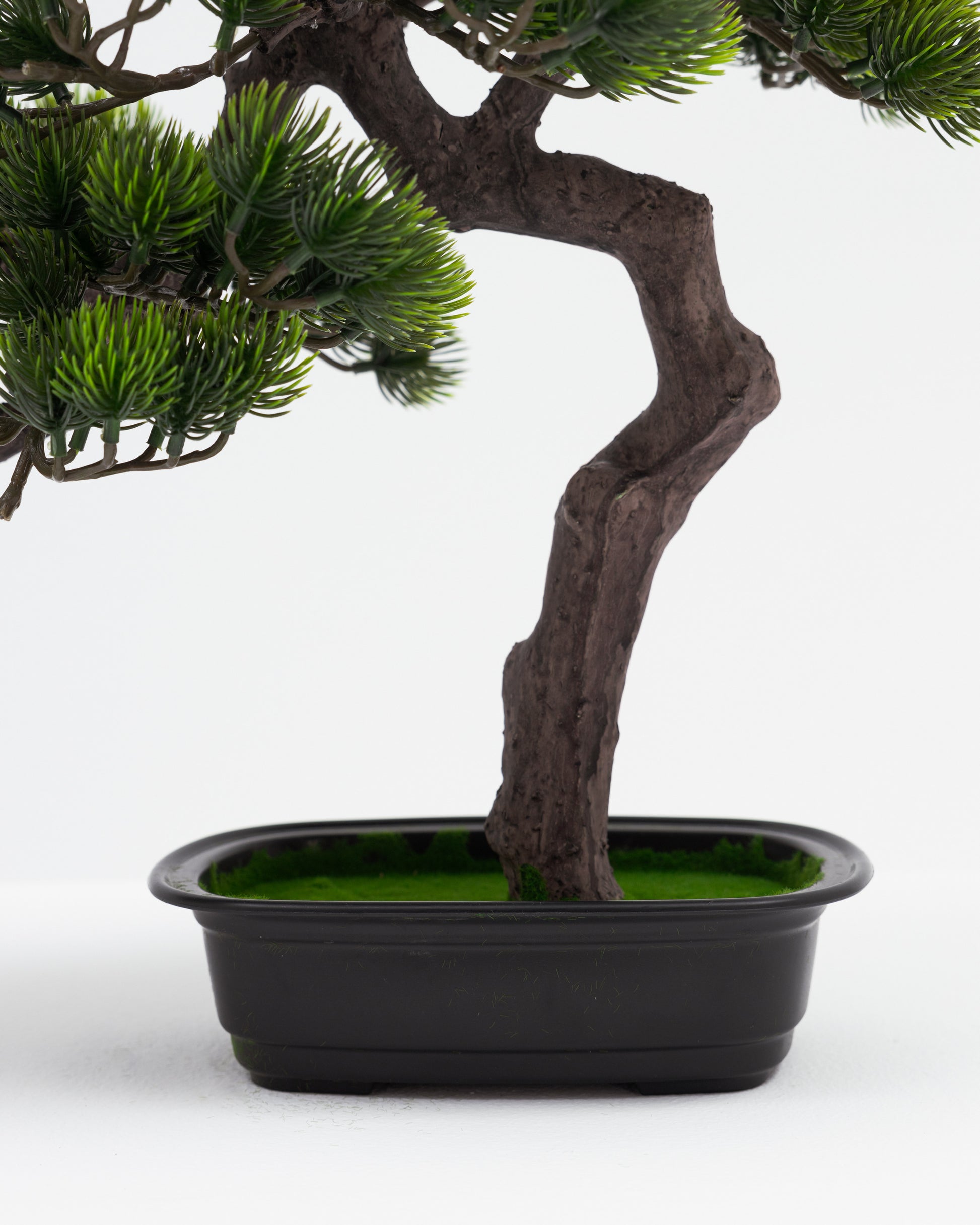 Short Bonsai Tree -  Wasilaah