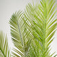 Areca Palm Artificial Plant - Wasilaah