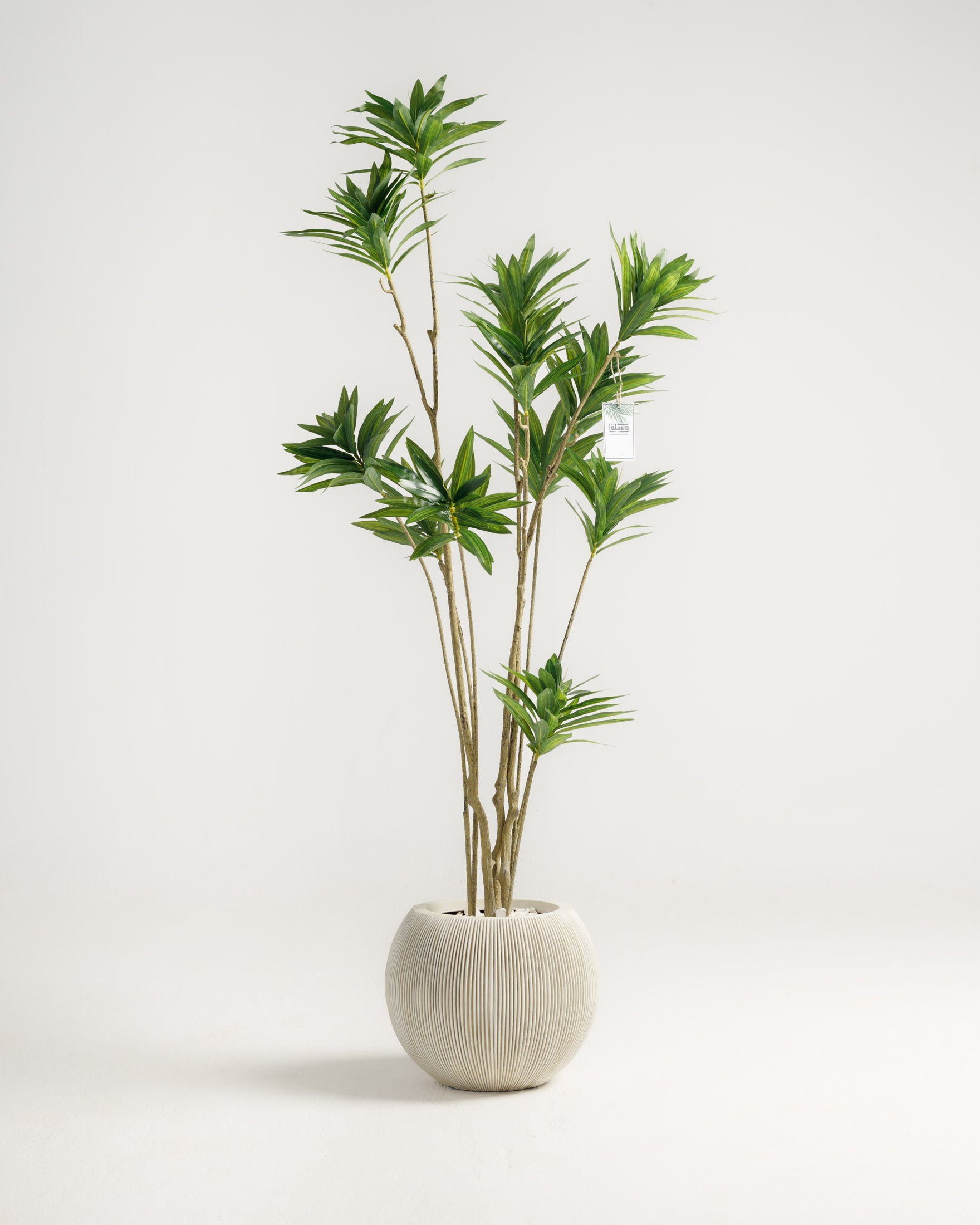 Dracaena Artificial Tree - Wasilaah