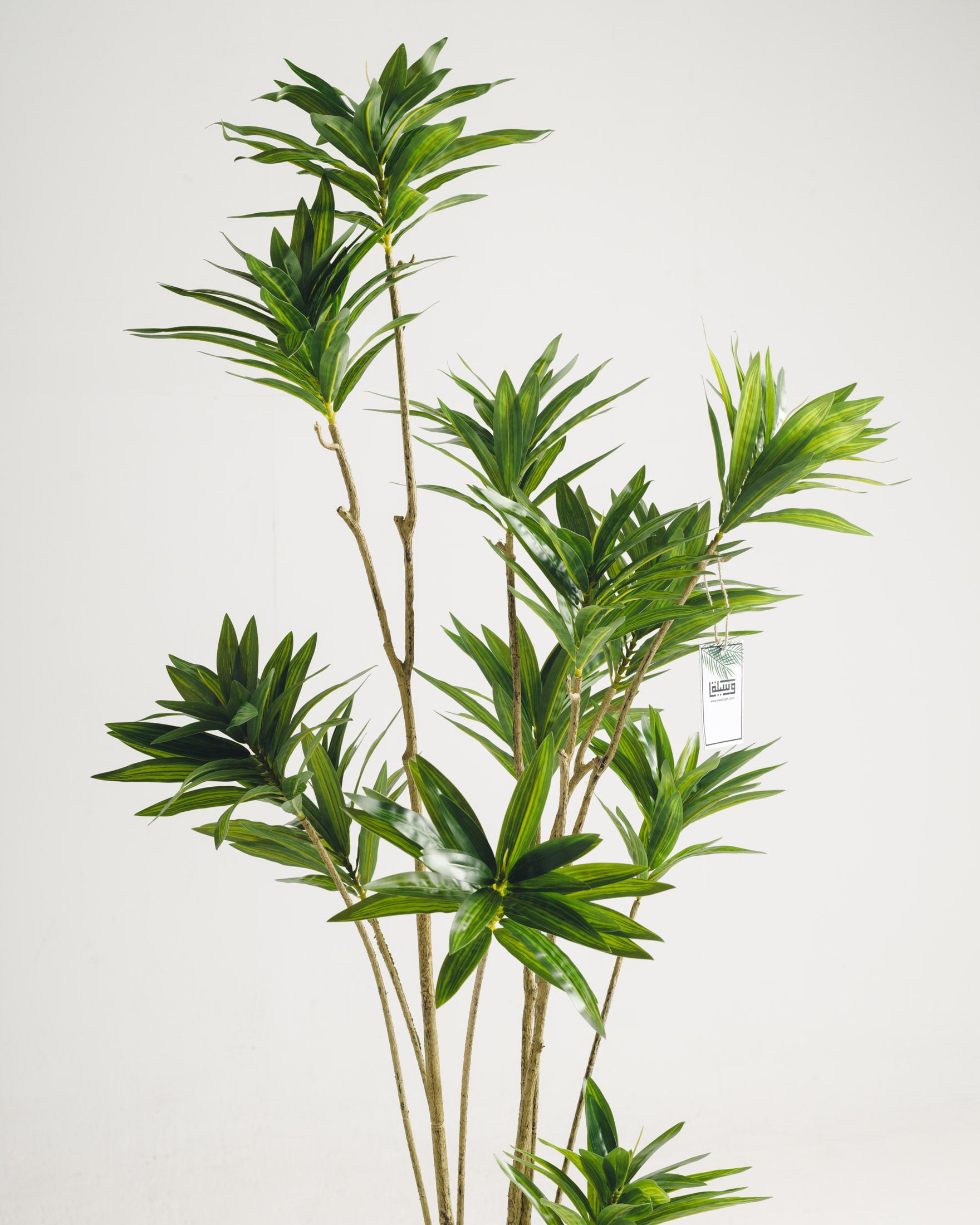 Dracaena Artificial Tree - Wasilaah