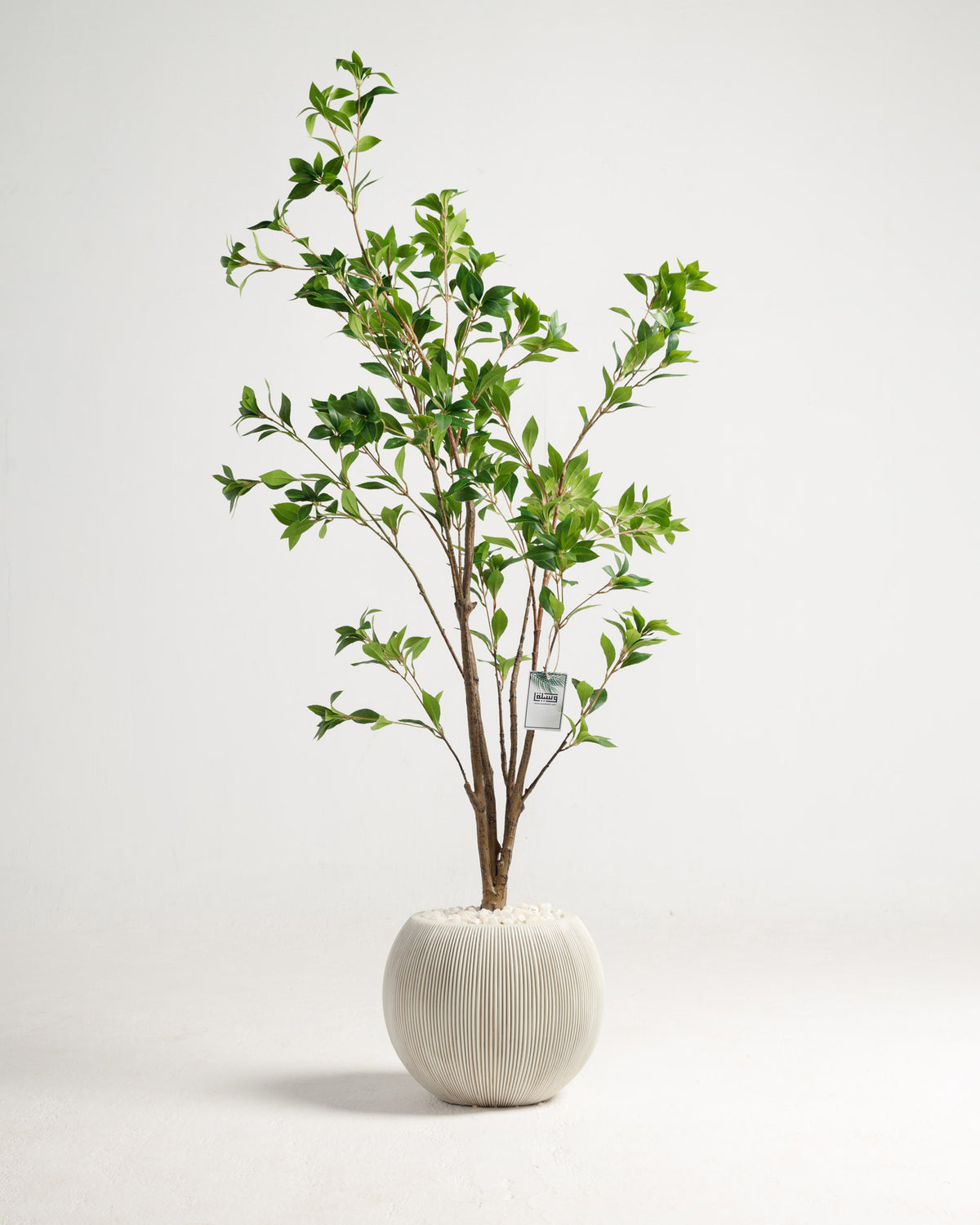 Benjamina Artificial Tree - Wasilaah