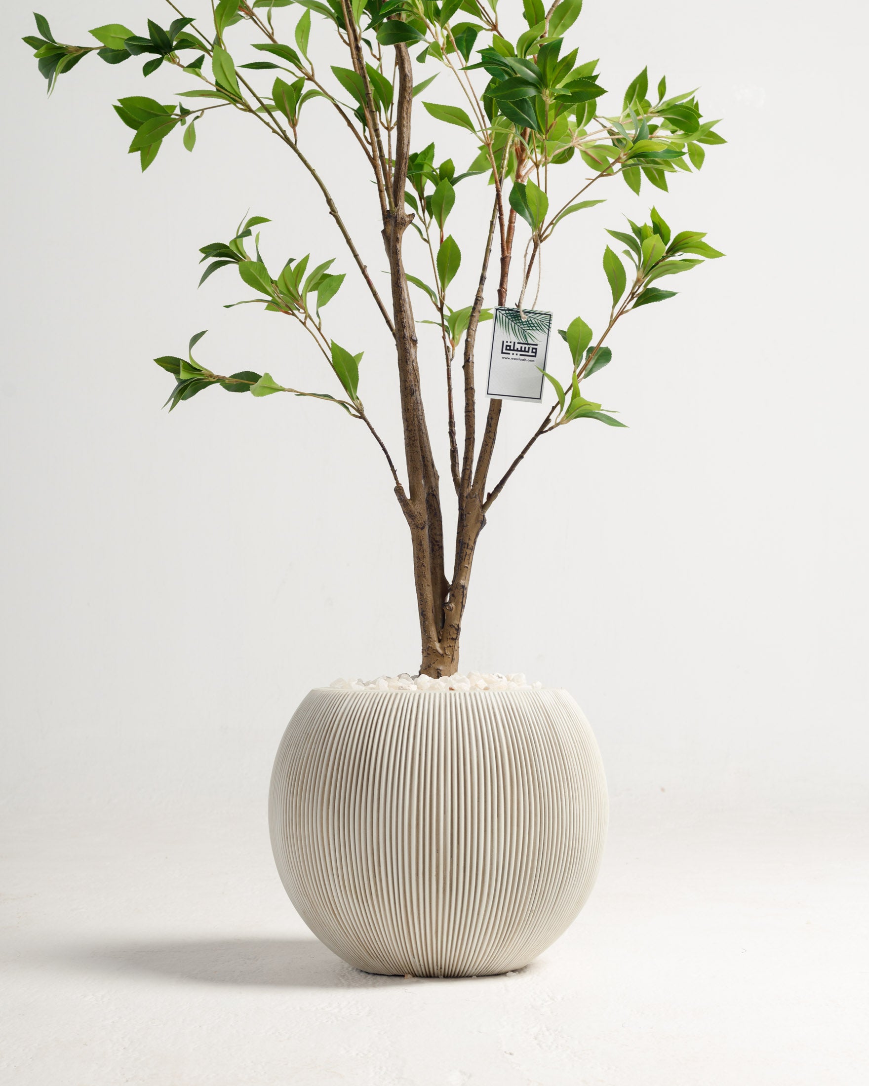 Benjamina Artificial Tree - Wasilaah