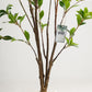 Benjamina Artificial Tree - Wasilaah