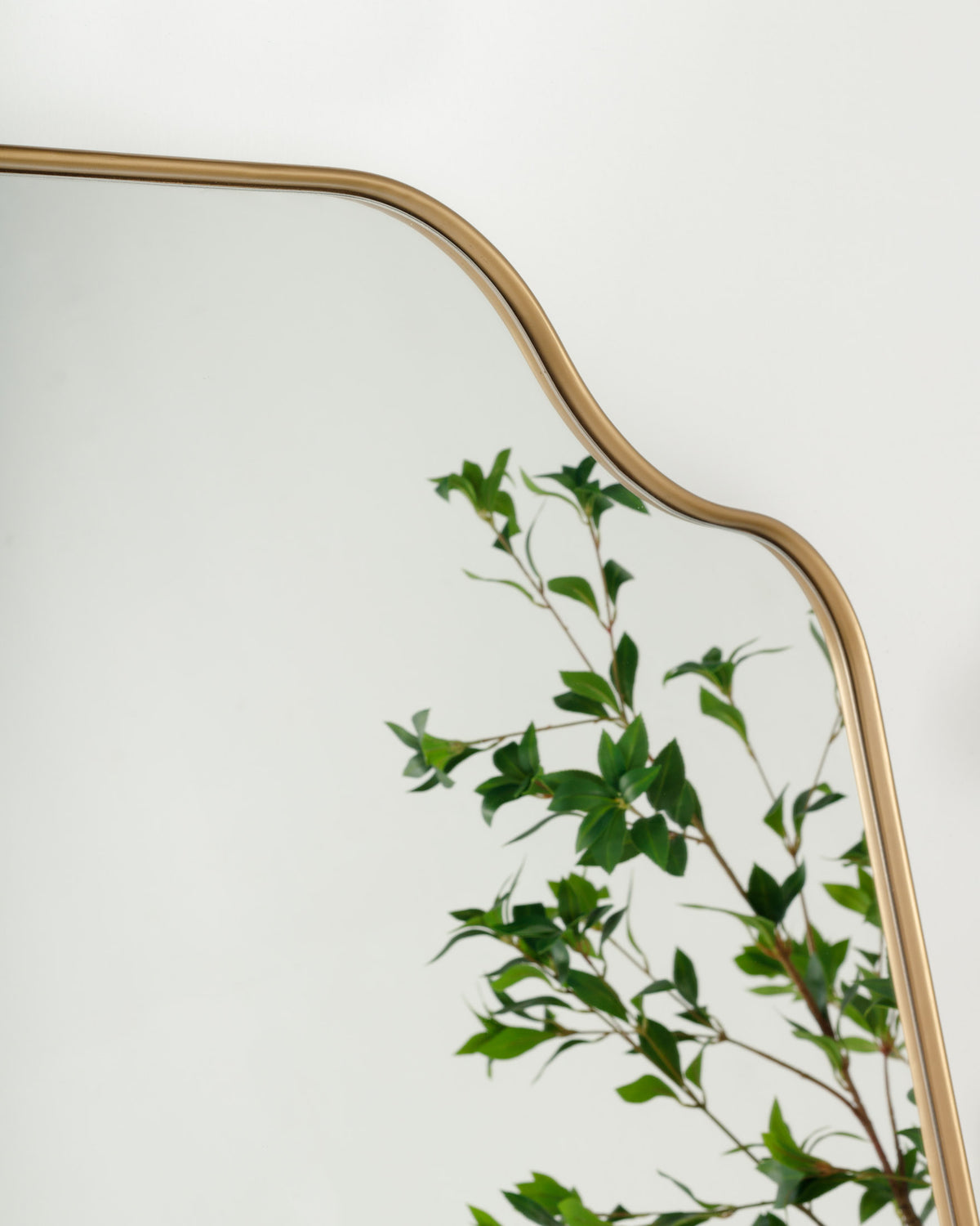 A close-up of a full-length mirror with a curved gold frame, reflecting greenery from a potted plant. The mirrors elegant design adds a touch of sophistication and enhances the rooms aesthetic.