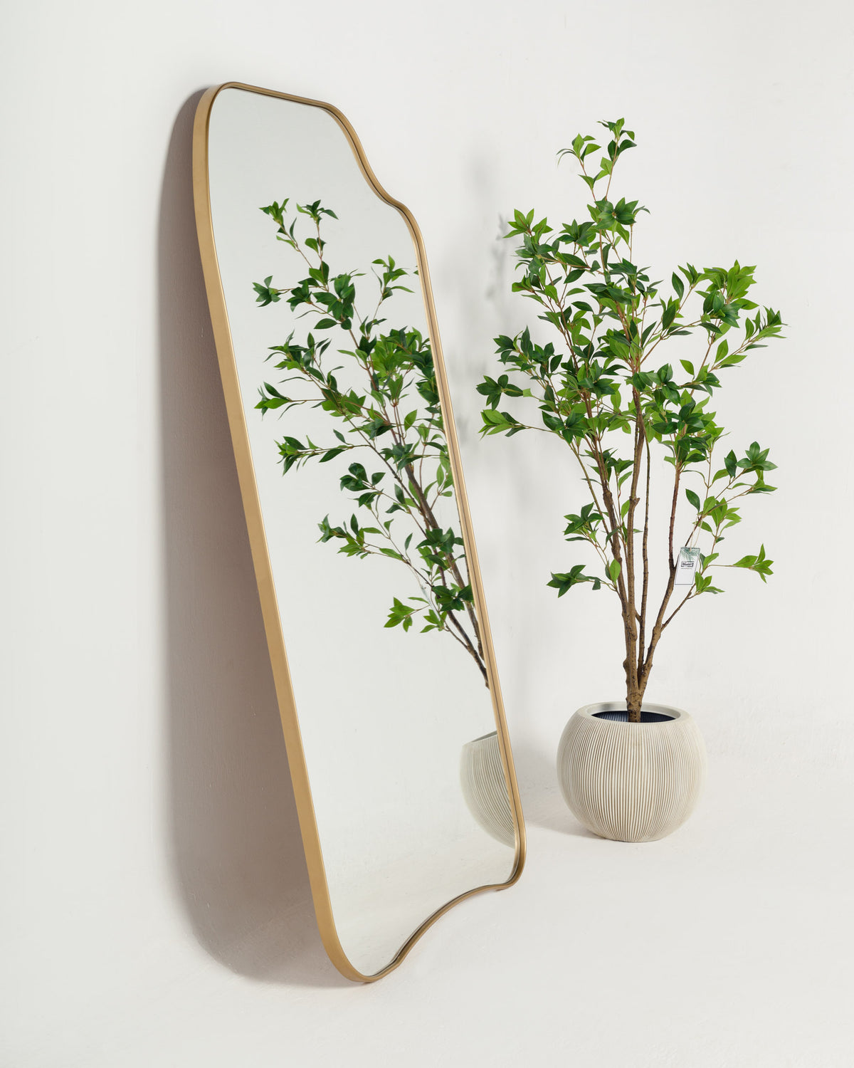 A full-length mirror with a wavy gold frame leans against a white wall, reflecting its surroundings. Next to it, a potted plant with lush green leaves adds a touch of nature, enhancing the rooms aesthetic.