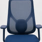 Blue mesh chair -  Wasilaah