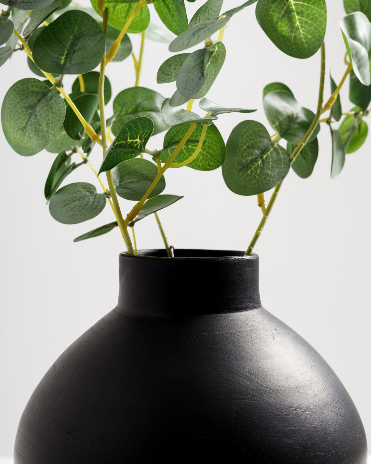 A black ceramic vase holds several eucalyptus branches with lush, green leaves. The arrangement showcases the vibrant foliage against a minimalistic background.