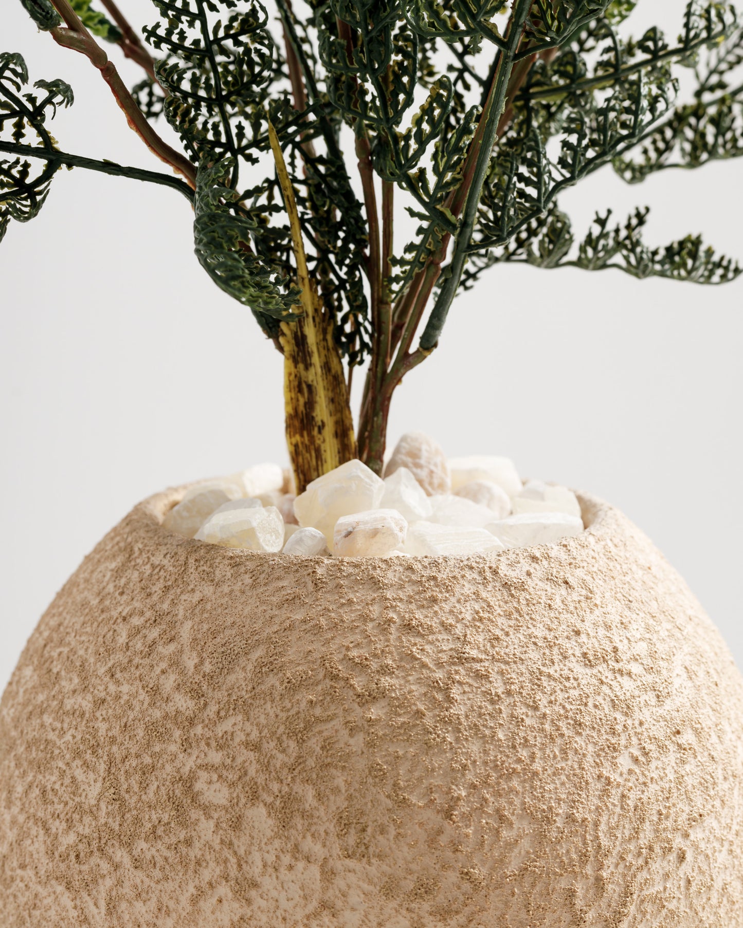A close-up of a textured, beige vase filled with small white stones and a green plant emerging from the top. The natural elements create a calming, earthy aesthetic.