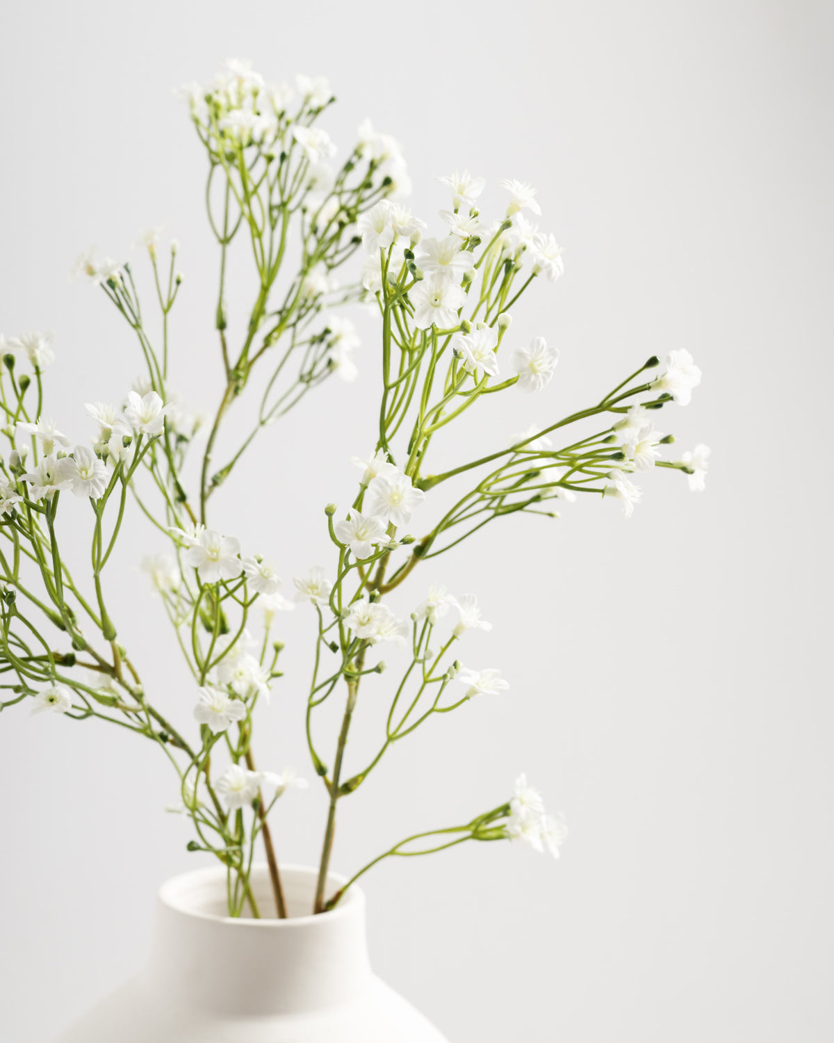 A branch of delicate white flowers with slender green stems is elegantly arranged in a simple white vase. The soft petals and natural greenery create a fresh, minimalist aesthetic against a light background.