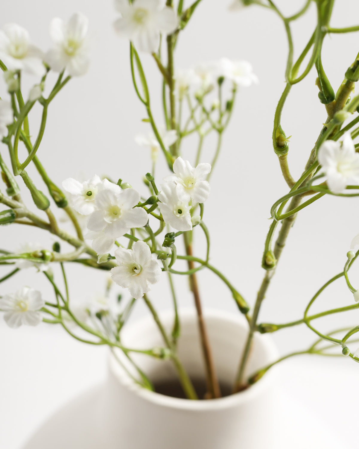 A close-up view of delicate white flowers arranged on slender green stems, placed in a minimalist white vase. The soft petals and intricate details of the flowers create a fresh and elegant aesthetic.