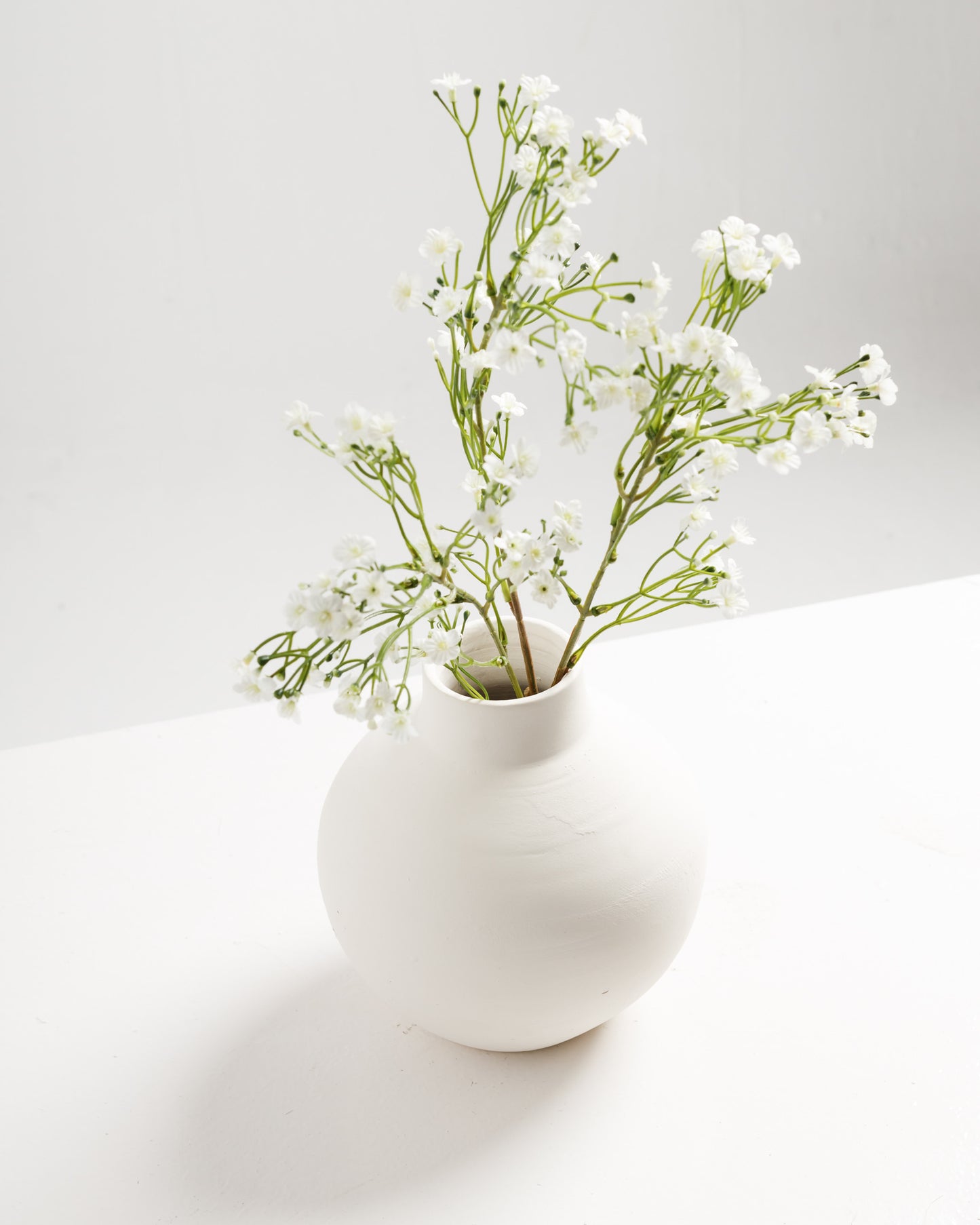 White Flowers Branch