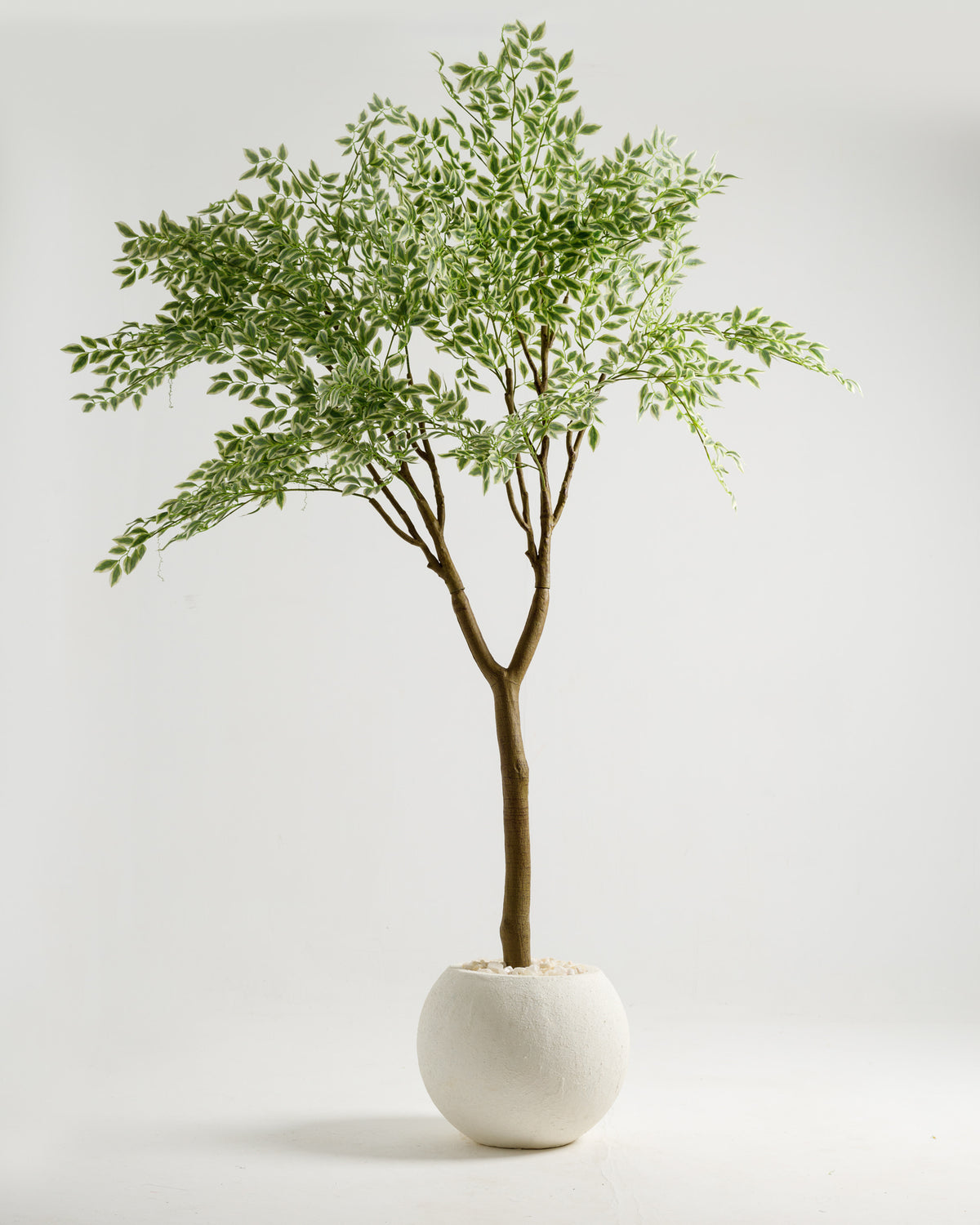 A tall artificial Ficus Benjamina Variegated tree features a full, lush canopy of green leaves, supported by a slender trunk and set in a simple white planter. This decorative piece adds a touch of nature to any indoor space.