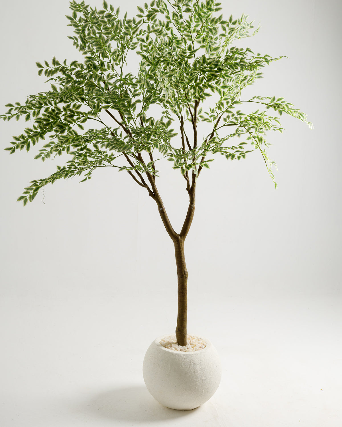 A tall artificial Ficus Benjamina variegated tree features a full, lush canopy of green and white leaves, set in a round white pot filled with decorative stones. This stylish piece adds a touch of nature to any indoor space.