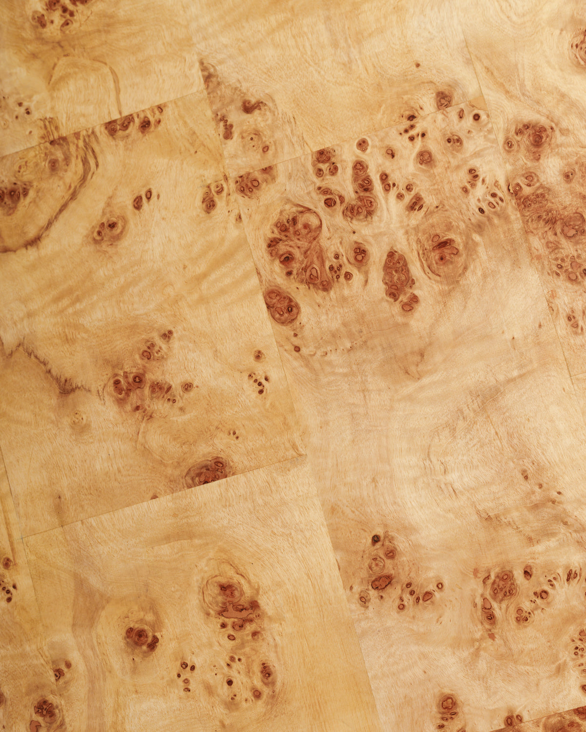 Close-up view of a burlwood surface featuring intricate patterns and textures, showcasing a natural wood grain with unique knots and swirls. The light-colored wood creates a warm and inviting aesthetic.