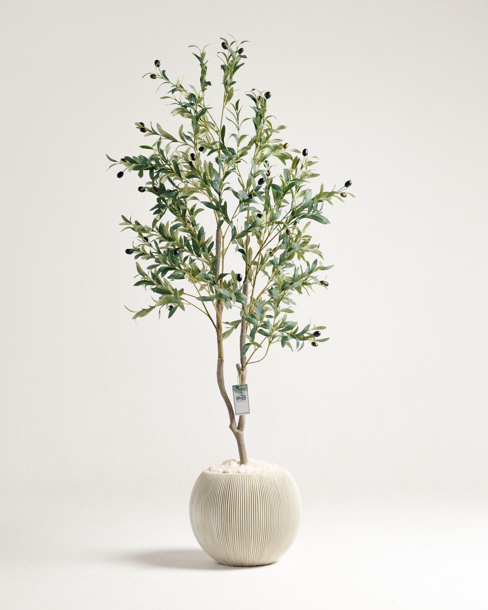 Olive 2 Branches Tree - Wasilaah