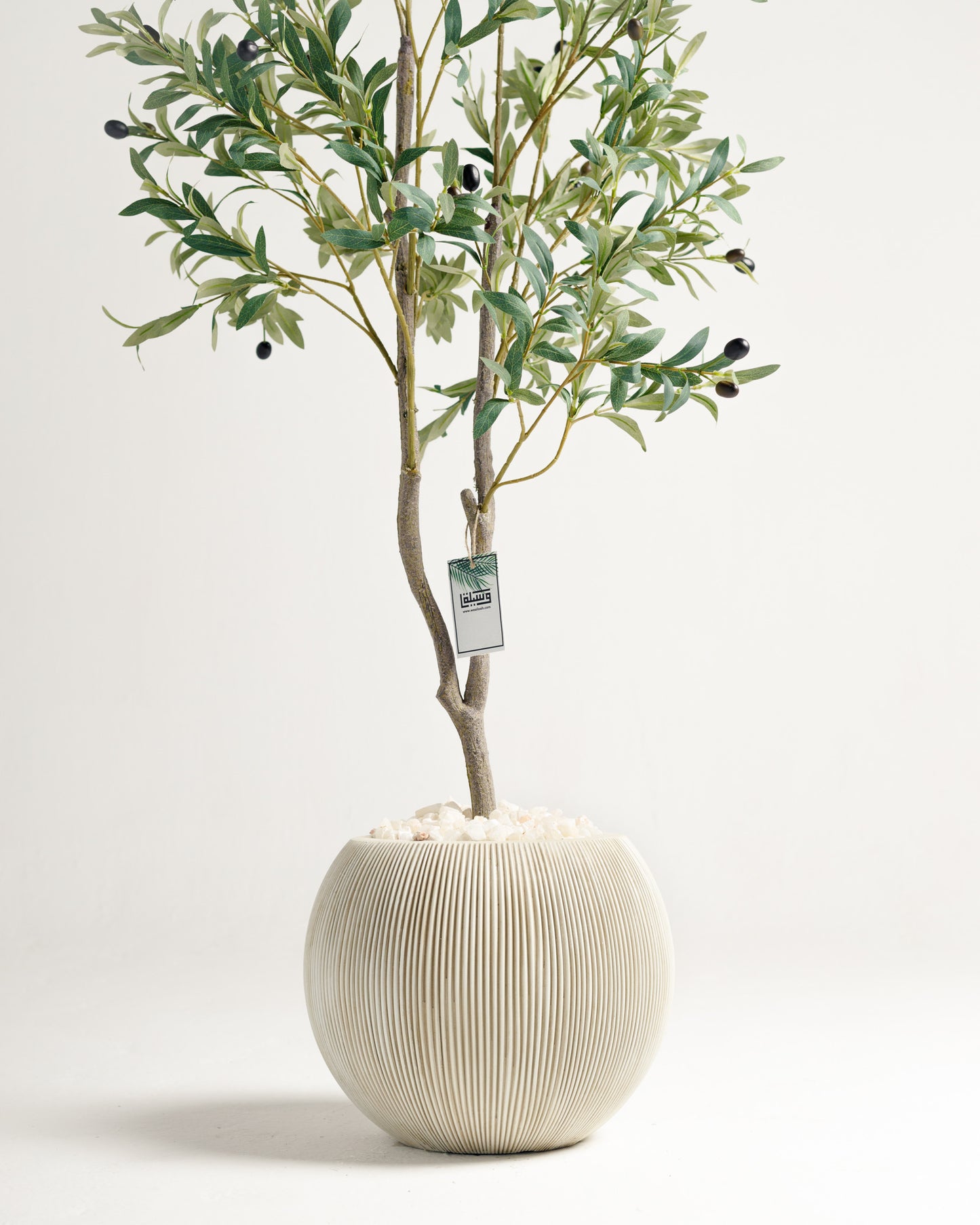 Olive 2 Branches Tree - Wasilaah