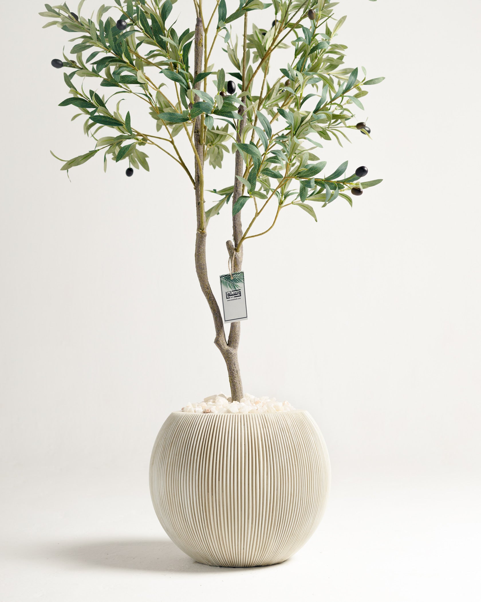 Olive 2 Branches Tree - Wasilaah