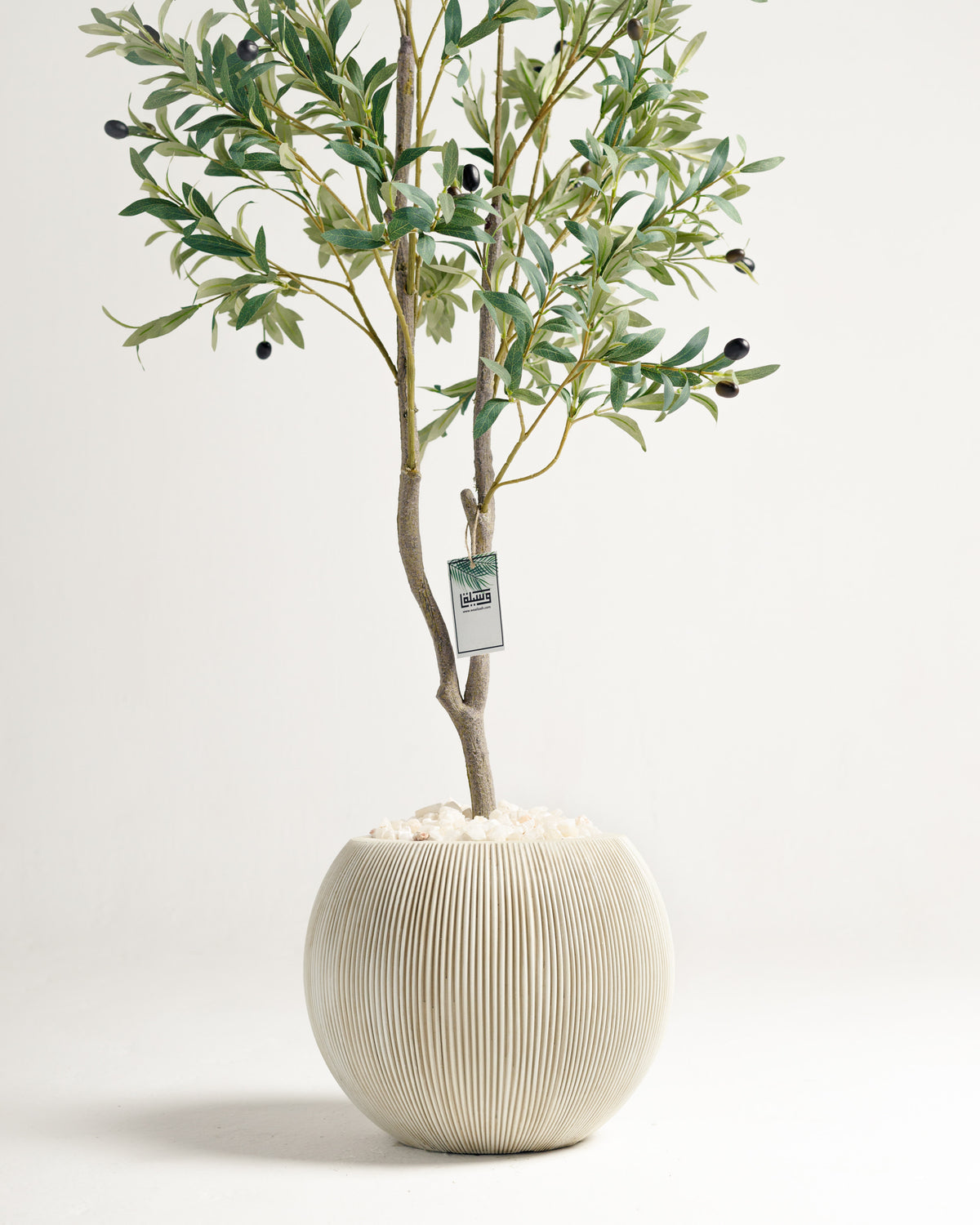 Olive 2 Branches Tree - Wasilaah