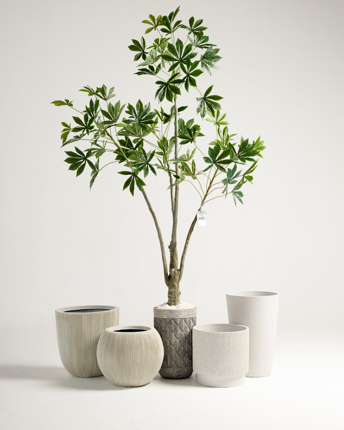 Short Fiber Pot - Wasilaah