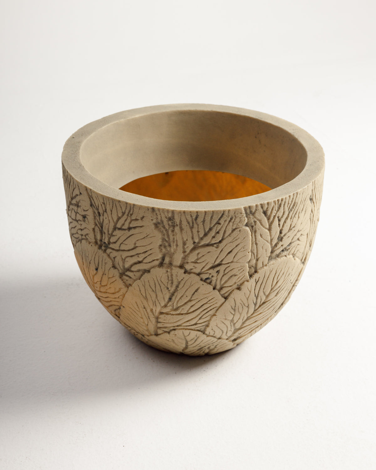 Foresta Pot -  Wasilaah