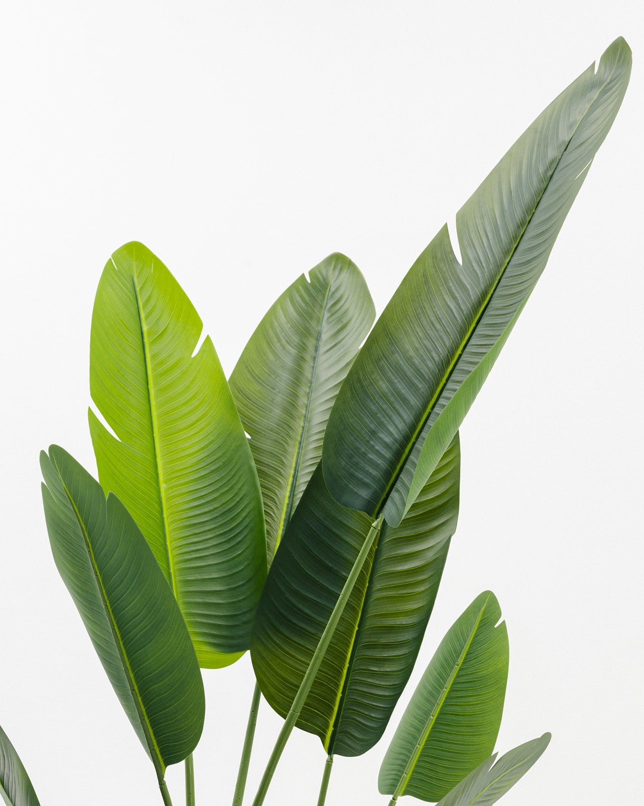 Augusta Artificial Tree