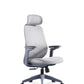 Grey Aura Ergonomic Chair