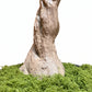 Royal Olive Tree -  Wasilaah