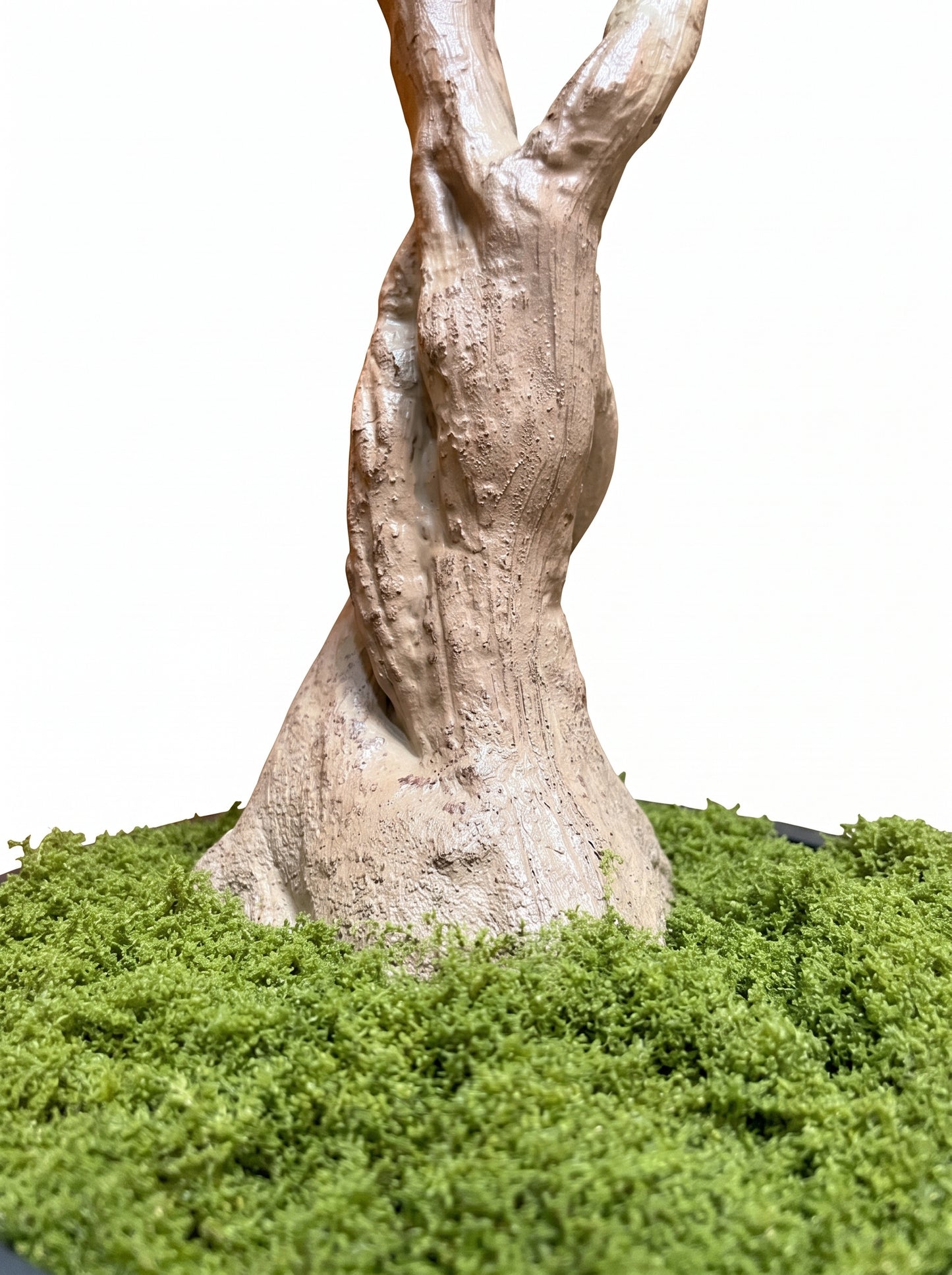 Royal Olive Tree -  Wasilaah
