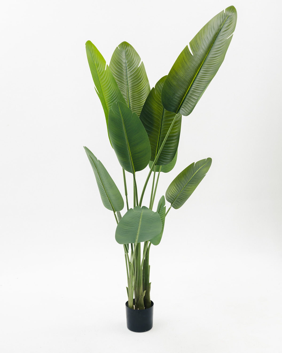 Augusta Artificial Tree -  Wasilaah