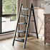 Folding Ladder