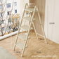 5 Step Folding Ladder