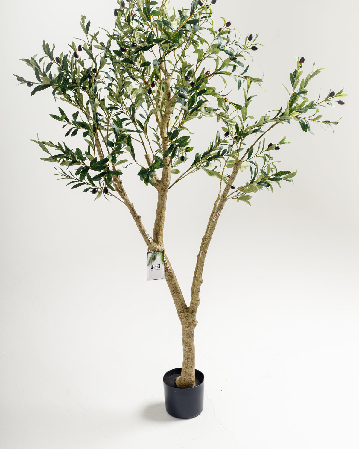 A lifelike artificial olive tree stands in a simple black pot, featuring multiple stems and lush green leaves with small dark olives. The tree adds a touch of natural beauty to indoor spaces without the maintenance of real plants.
