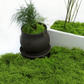 50g Artificial Green Moss Simulated Plant